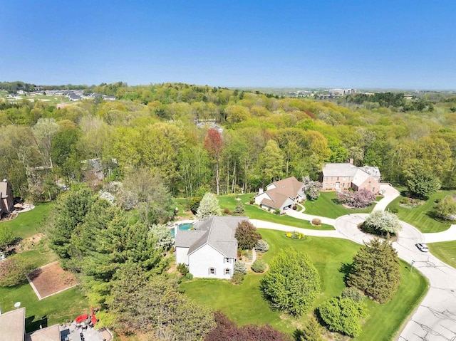 4514 Mohawk Ct, Green Bay, WI 54313 - aerial view of a forest