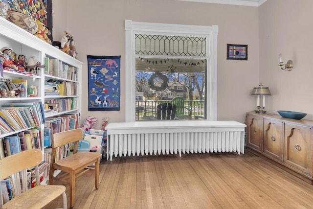 1616 7th St, Menomonie, MI 49858 - sitting room featuring radiator heating unit and light wood finished floors