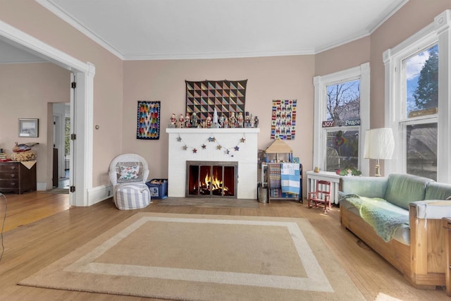 1616 7th St, Menomonie, MI 49858 - living room featuring a warm lit fireplace, crown molding, wood finished floors, and baseboards