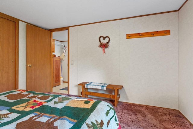 1630 Hawkshead Trl, Nekoosa, WI 54457 - bedroom with light colored carpet