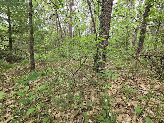 LOT1 16th Ave, Necedah, WI 54646
