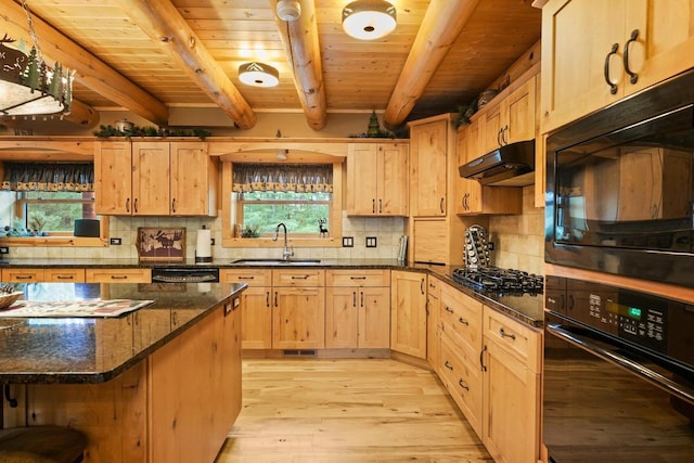 W6034 N Lake Dr, New Lisbon, WI 53950 - kitchen with black appliances, under cabinet range hood, a sink, light wood finished floors, and tasteful backsplash