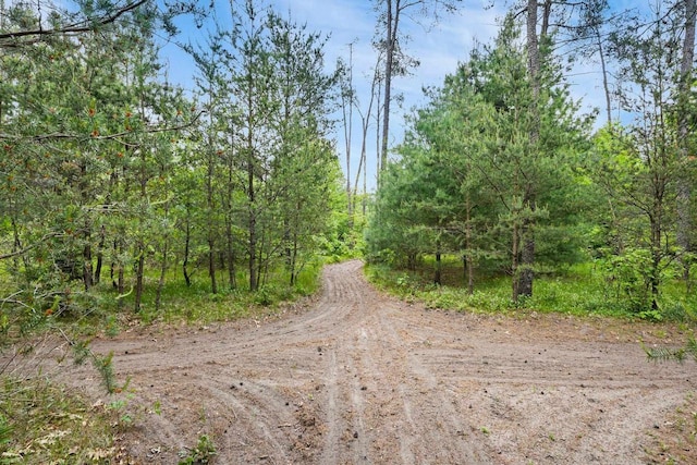 W6034 N Lake Dr, New Lisbon, WI 53950 - view of dirt / gravel road featuring a view of trees