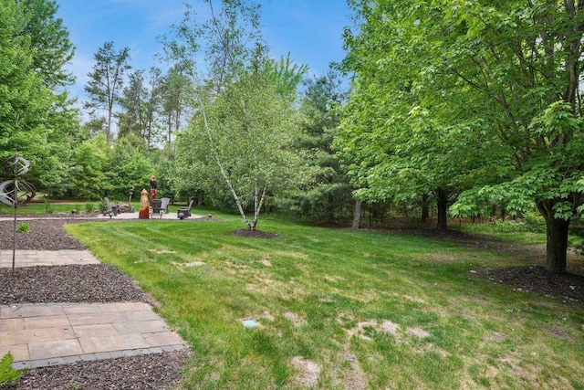 W6034 N Lake Dr, New Lisbon, WI 53950 - view of green lawn