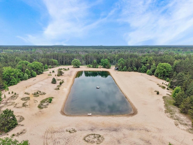 W6034 N Lake Dr, New Lisbon, WI 53950 - drone / aerial view of a forest and a large body of water