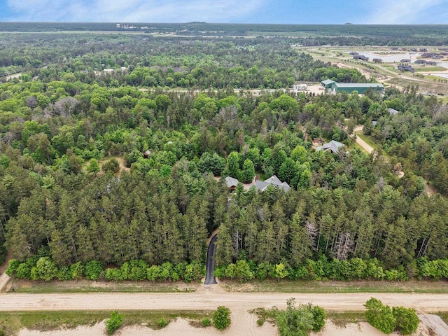 W6034 N Lake Dr, New Lisbon, WI 53950 - aerial view of a forest