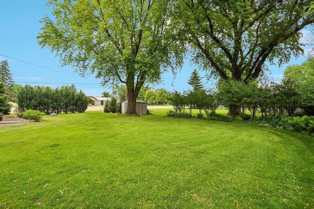 109 County Park Rd, Waupun, WI 53963 - view of grassy yard