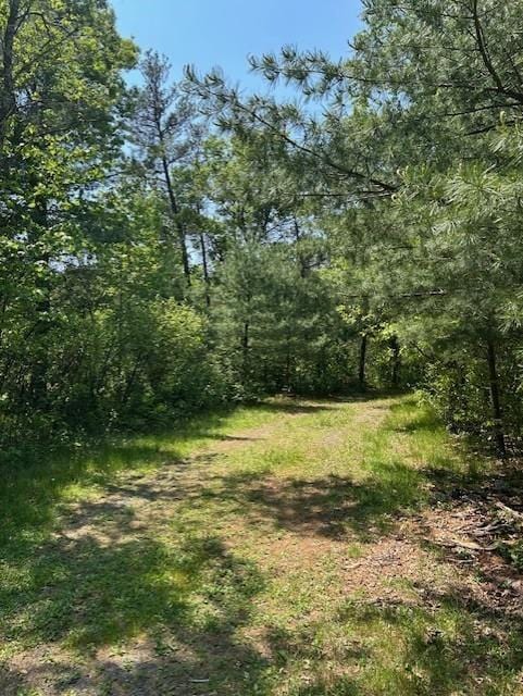 N6812 Eddy Rd, Black River Falls, WI 54615 - view of yard with a view of trees
