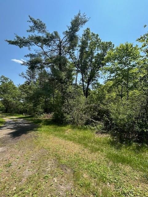 N6812 Eddy Rd, Black River Falls, WI 54615 - view of woods