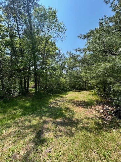 N6812 Eddy Rd, Black River Falls, WI 54615 - view of yard