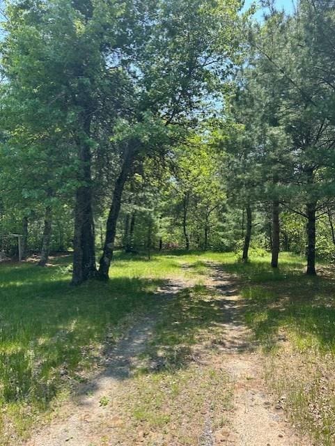 N6812 Eddy Rd, Black River Falls, WI 54615 - view of street