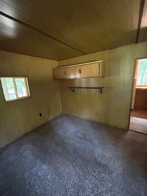 N6812 Eddy Rd, Black River Falls, WI 54615 - carpeted spare room with wood ceiling and wooden walls