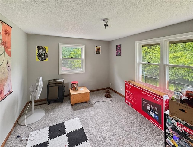 711 Cleveland Ave, Ladysmith, WI 54848 - rec room with healthy amount of natural light, carpet, baseboards, and a textured ceiling