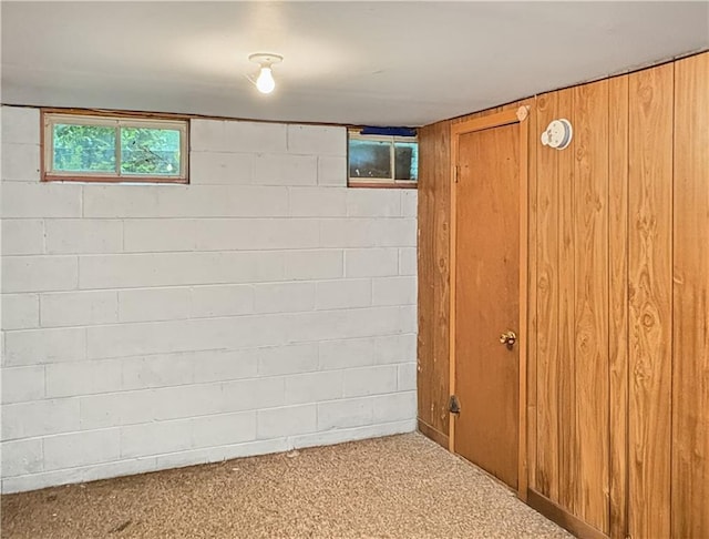 711 Cleveland Ave, Ladysmith, WI 54848 - basement featuring carpet flooring, wood walls, and concrete block wall