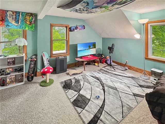 711 Cleveland Ave, Ladysmith, WI 54848 - playroom featuring a textured ceiling, lofted ceiling, and carpet flooring