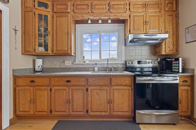 11203 W Potter Rd, Wauwatosa, WI 53226 - kitchen featuring stainless steel electric stove, under cabinet range hood, a sink, brown cabinets, and decorative backsplash