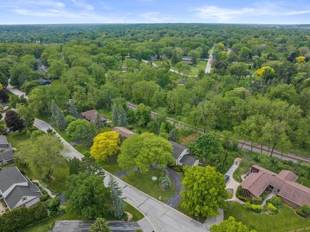 15075 Kings Ridge Ct, Brookfield, WI 53005 - aerial view of a forest