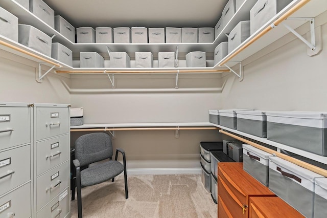 N56W27213 Crispin Ct, Lisbon, WI 53089 - walk in closet featuring light colored carpet