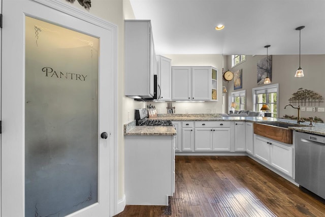 5119 Reynolds Ave, Waunakee, WI 53597 - kitchen featuring appliances with stainless steel finishes, a sink, light stone counters, dark wood-style floors, and hanging light fixtures