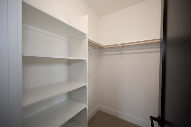 624 Green Bay Rd, Thiensville, WI 53092 - walk in closet featuring carpet flooring