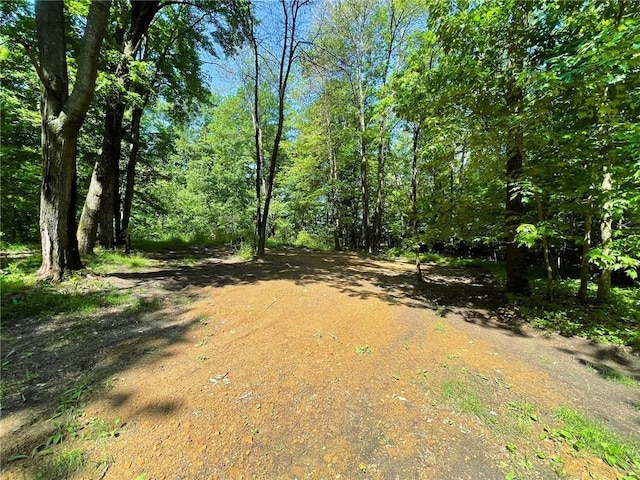 N12841 Mock Ln, Osseo, WI 54758