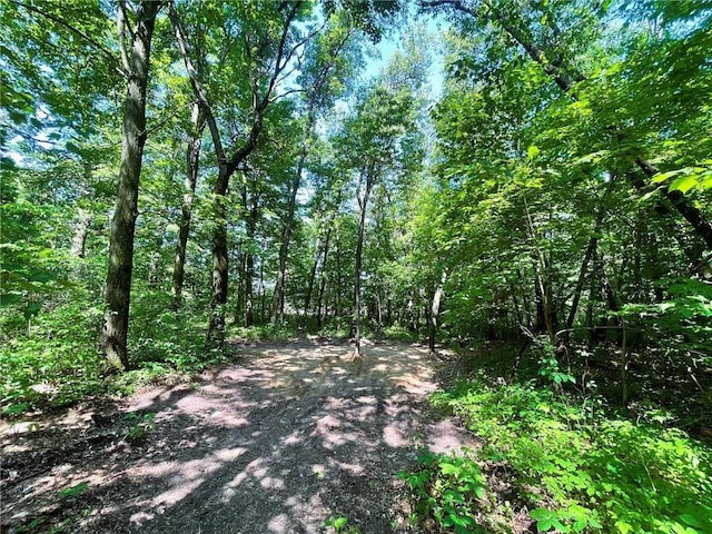 N12841 Mock Ln, Osseo, WI 54758
