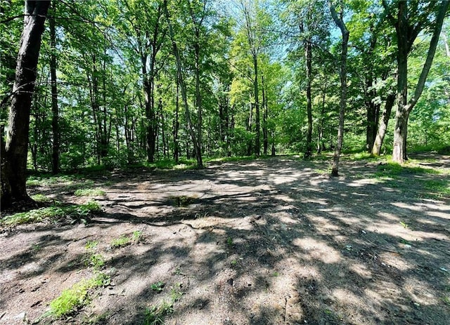 N12841 Mock Ln, Osseo, WI 54758