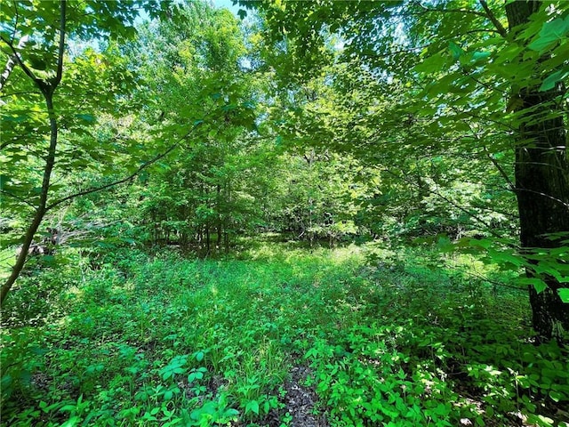 N12841 Mock Ln, Osseo, WI 54758