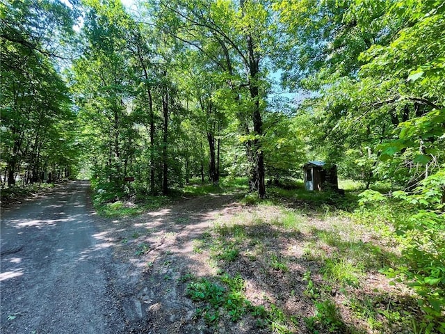 N12841 Mock Ln, Osseo, WI 54758