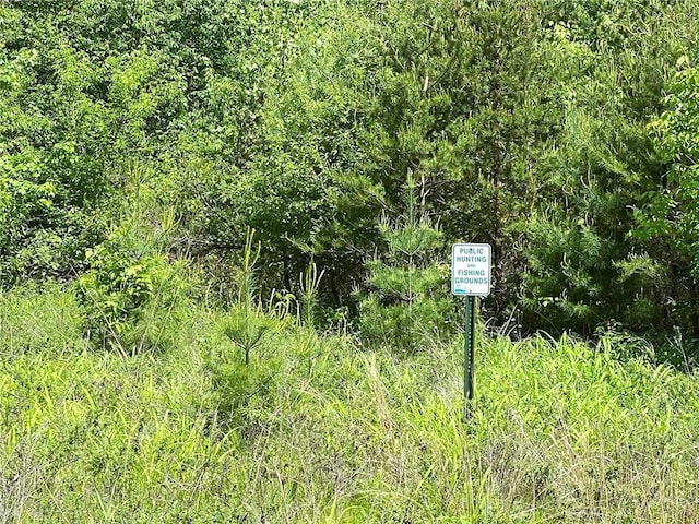 N12841 Mock Ln, Osseo, WI 54758