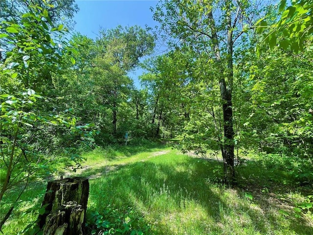 N12841 Mock Ln, Osseo, WI 54758