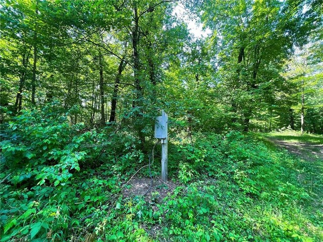 N12841 Mock Ln, Osseo, WI 54758