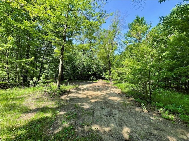 N12841 Mock Ln, Osseo, WI 54758