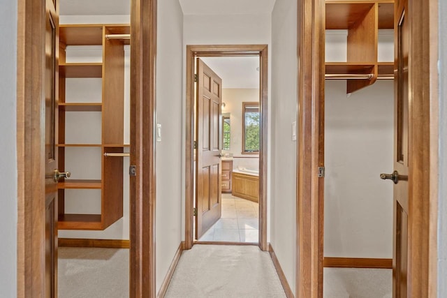 209 E Timberline Dr, Appleton, WI 54913 - view of closet
