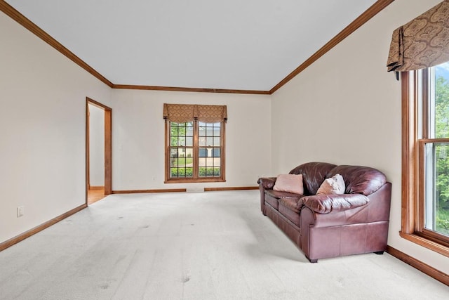 209 E Timberline Dr, Appleton, WI 54913 - living area featuring carpet flooring, ornamental molding, and baseboards