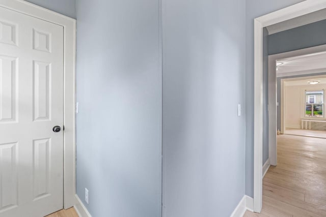 603 Spring St, Lake Geneva, WI 53147 - corridor with light wood-style flooring and baseboards