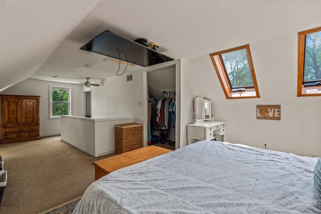 1135 Dopp St, Waukesha, WI 53188 - bedroom featuring a walk in closet, a skylight, lofted ceiling, carpet flooring, and a closet