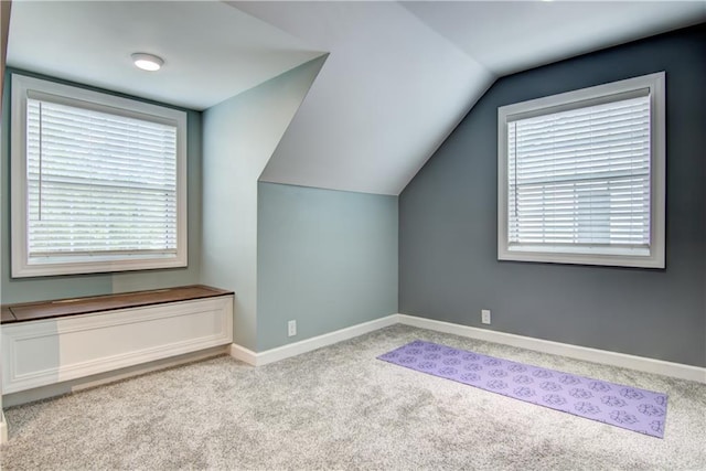 1805 Main St, Eau Claire, WI 54701 - additional living space with carpet floors, baseboards, and lofted ceiling