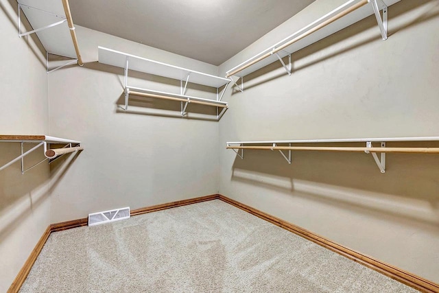 3251 Bower Creek Rd, De Pere, WI 54115 - walk in closet with carpet