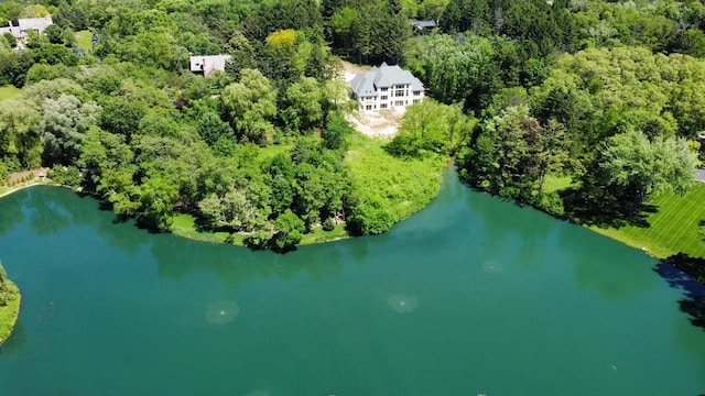 10031 N Range Line Rd, Mequon, WI 53092 - aerial view of a nearby body of water and a forest