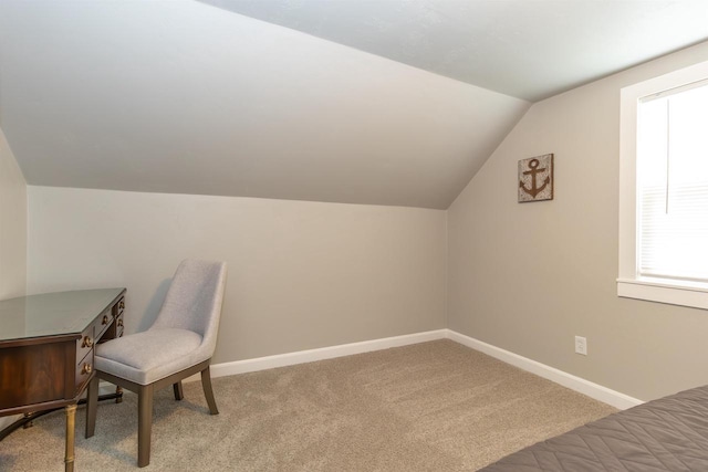 1614 N Richmond St, Appleton, WI 54911 - office space featuring lofted ceiling, carpet flooring, and baseboards