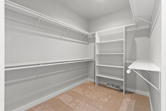 1925 Creekwood Ct, Manitowoc, WI 54220 - spacious closet with carpet