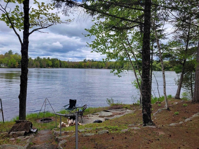 N9221 Sumac Ln, Gresham, WI 54128 - water view with a heavily wooded area