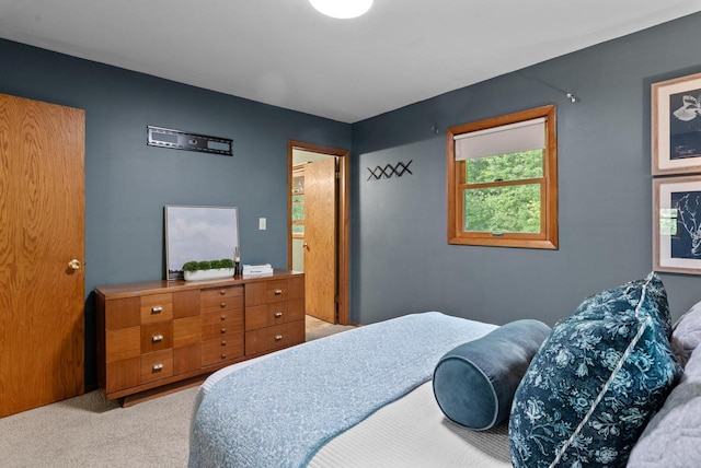 W188N10115 Maple Rd, Germantown, WI 53022 - view of carpeted bedroom