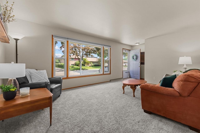 1001 S Matthias St, Appleton, WI 54915 - living area featuring carpet floors and baseboards