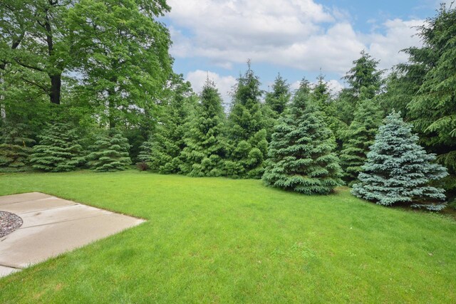 4900 S 67th St, Greenfield, WI 53220 - view of grassy yard