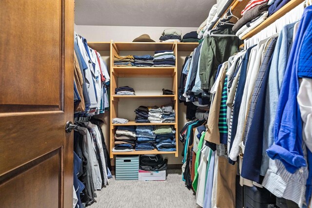 W6708 Prescott Dr, Greenville, WI 54942 - walk in closet with carpet flooring