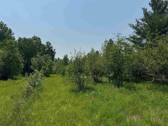 40ACRESON Erkkila Rd, Brule, WI 54820