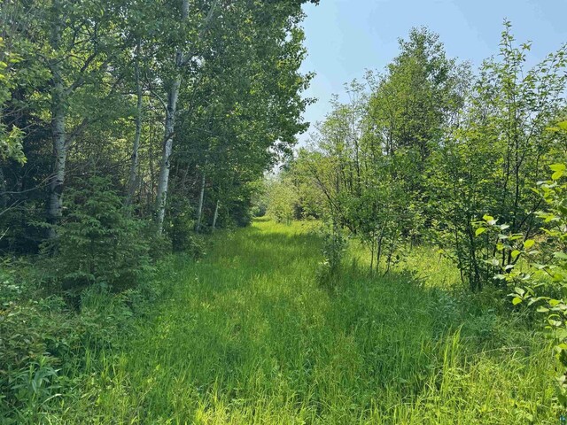40ACRESON Erkkila Rd, Brule, WI 54820