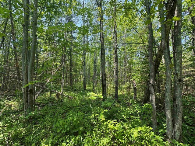 40ACRESON Erkkila Rd, Brule, WI 54820
